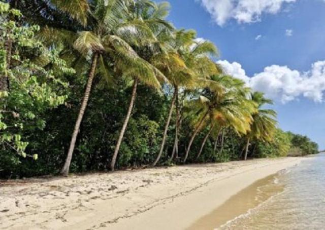 Touloukaera Appt 303 Plage Kawann Saint-Louis Zewnętrze zdjęcie
