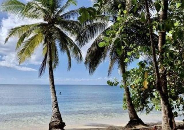 Touloukaera Appt 303 Plage Kawann Saint-Louis Zewnętrze zdjęcie
